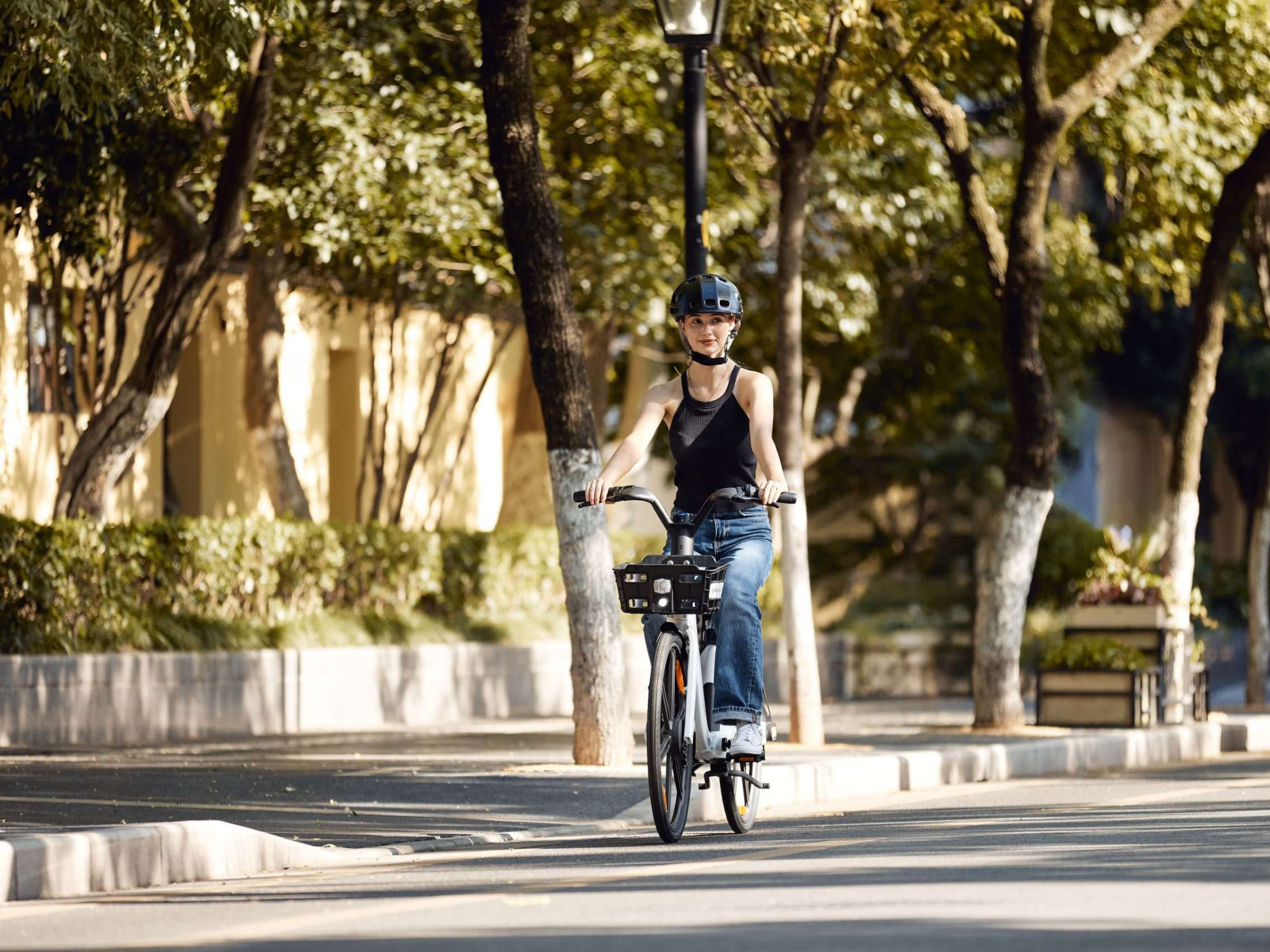 Segway B200 – foto 6
